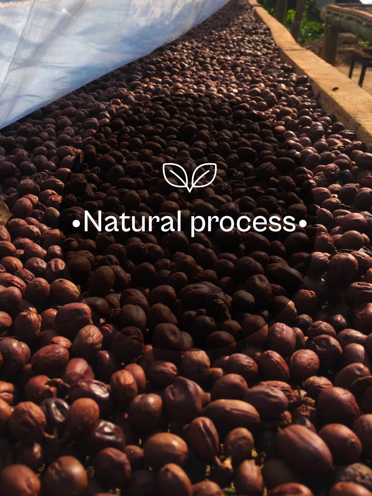natural process
