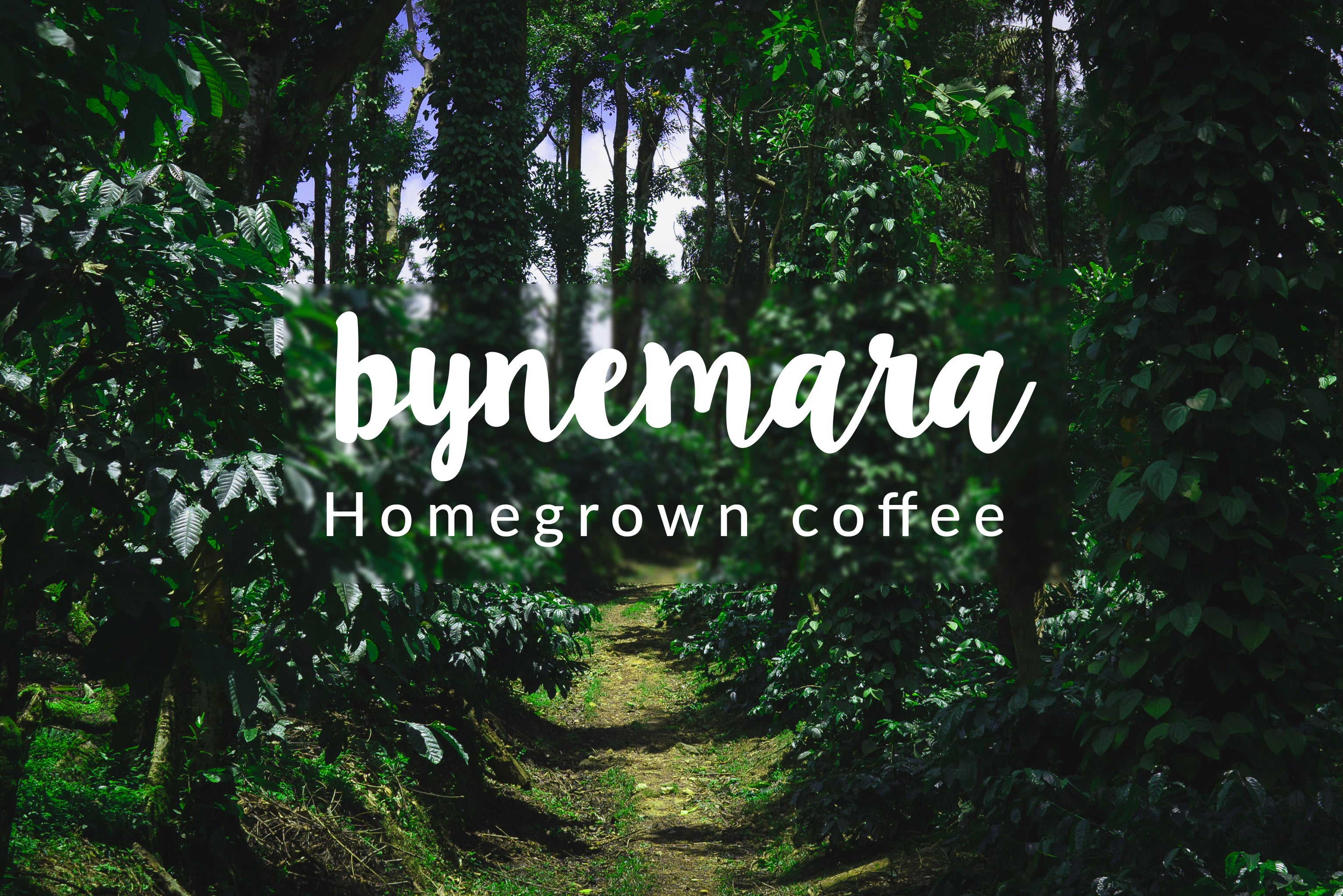 bynemara homegrown coffee